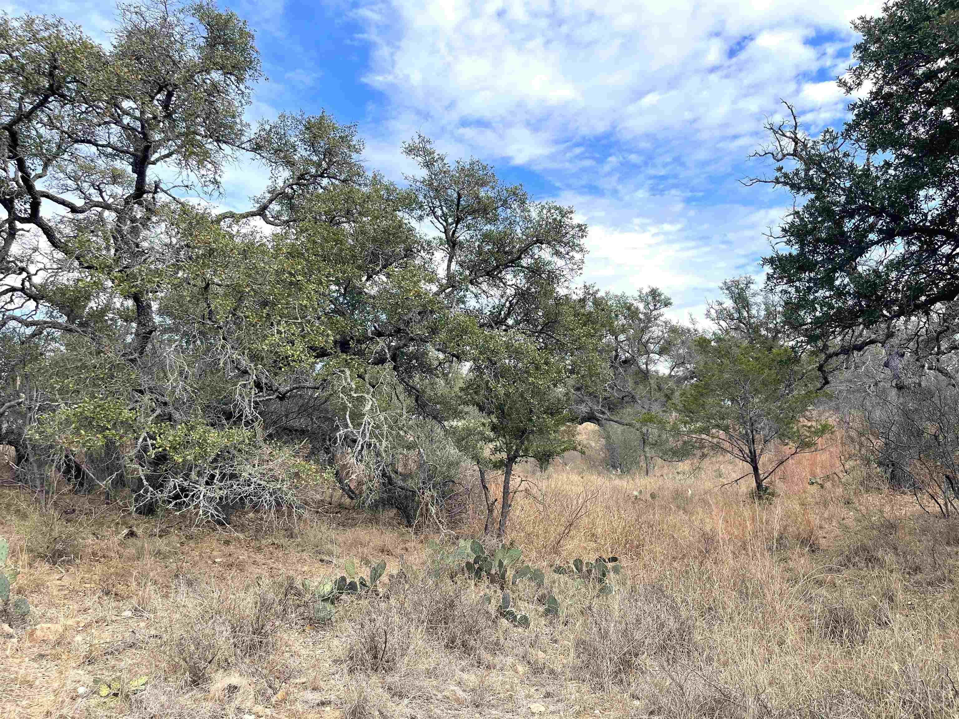 323 Thurman Loop Llano, TX 78643 - Photo 10 of 18