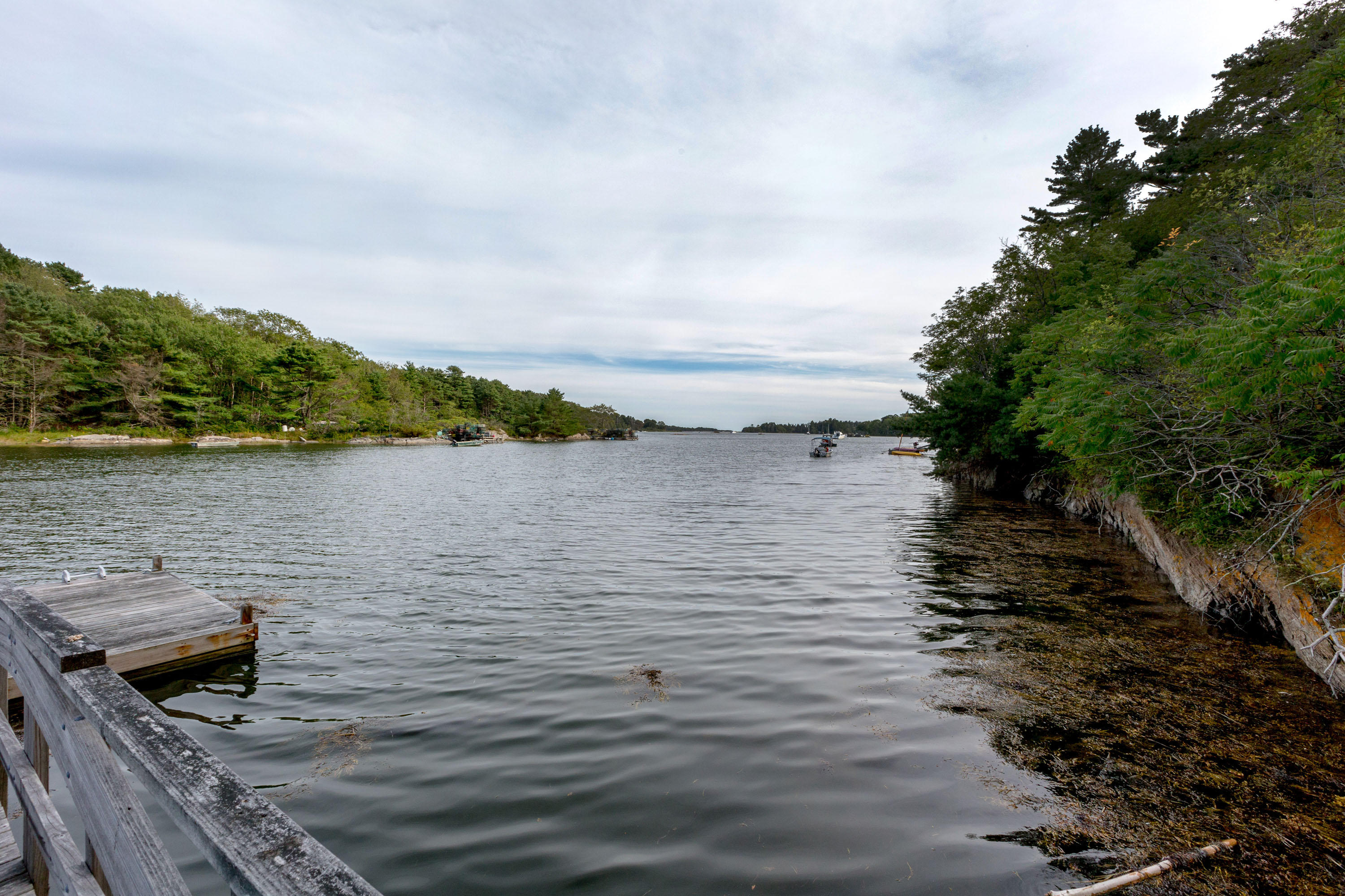 859 Harpswell Islands Road Harpswell, ME 04079 - Photo 9 of 53 Harpswell Island_York_62