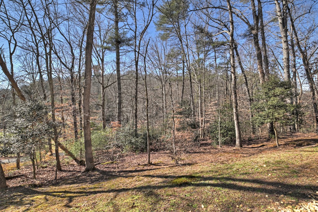 694 Northcutt Road Ellijay, GA 30540 - Photo 14 of 50 Gallery Image 14