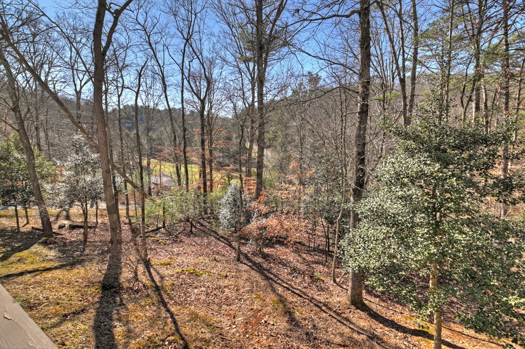694 Northcutt Road Ellijay, GA 30540 - Photo 17 of 50 Gallery Image 17