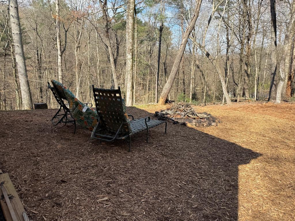 694 Northcutt Road Ellijay, GA 30540 - Photo 45 of 50 Gallery Image 45