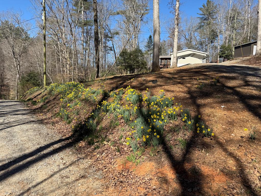 694 Northcutt Road Ellijay, GA 30540 - Photo 47 of 50 Gallery Image 47