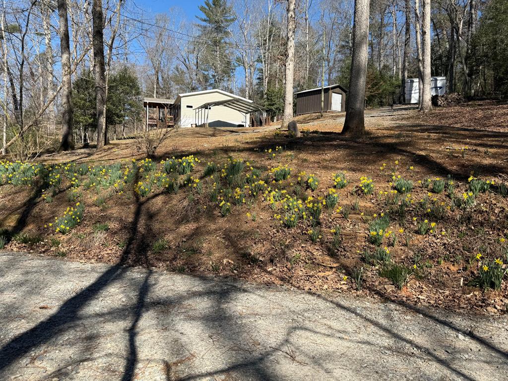 694 Northcutt Road Ellijay, GA 30540 - Photo 49 of 50 Gallery Image 49