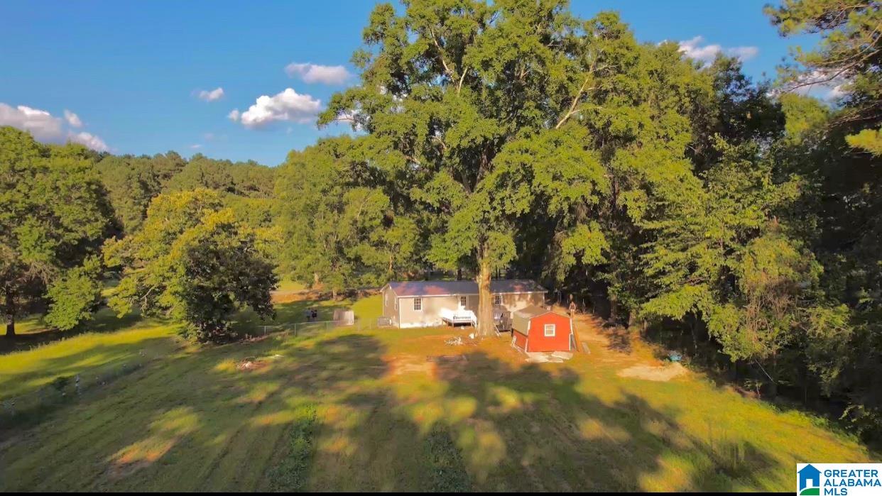 3223 North Mud Creek Road North Adger, AL 35006 - Photo 26 of 26