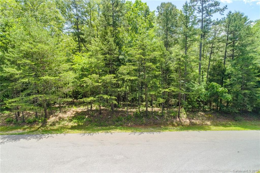 343 Point Carpenter Road Indian Land, SC 29707 - Photo 2 of 12