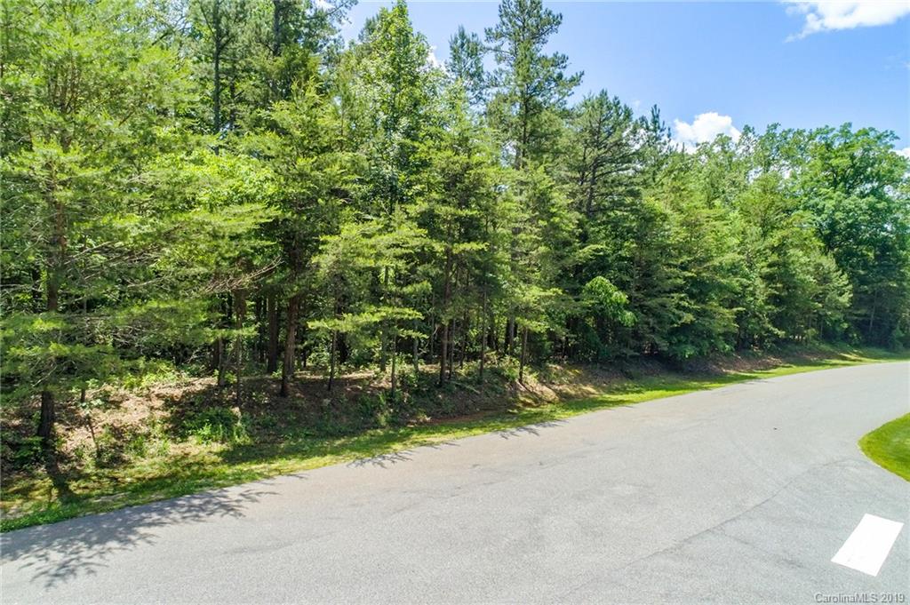 343 Point Carpenter Road Indian Land, SC 29707 - Photo 4 of 12