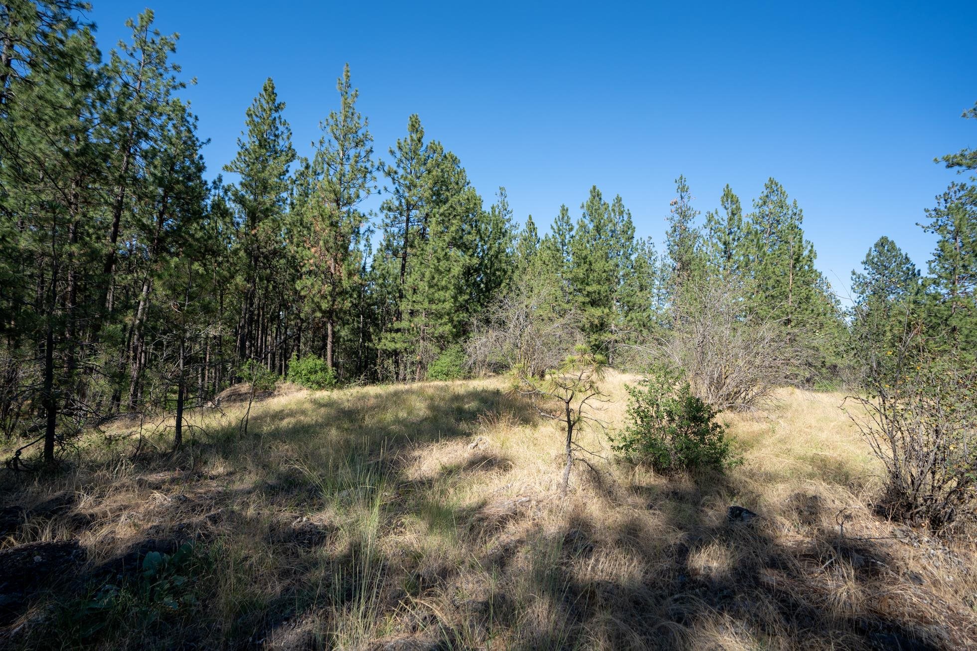 3840 South Trainor Road Spokane, WA 99224 - Photo 6 of 9 Gallery Image 6