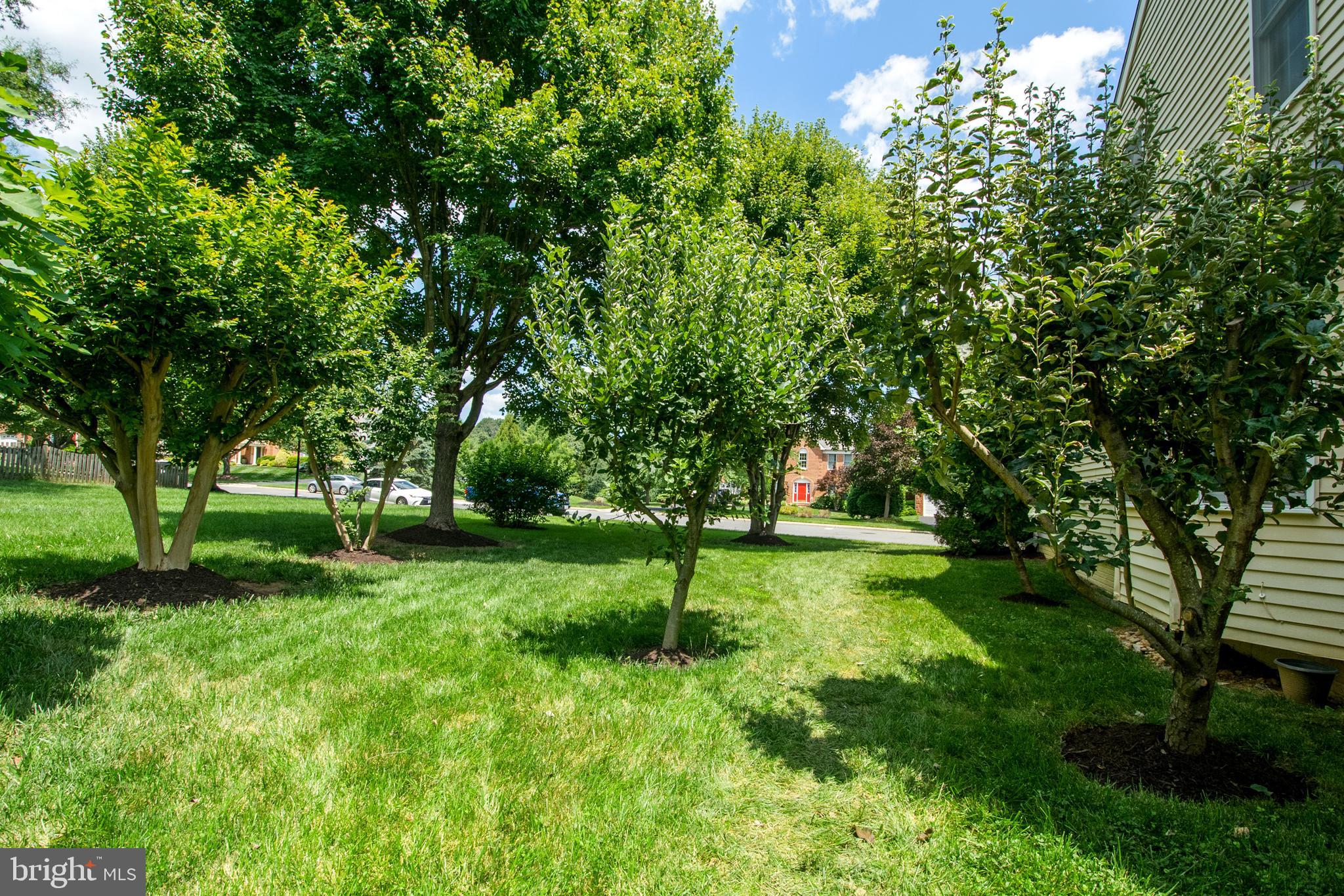 10861 Hunter Gate Way Reston, VA 20194 - Photo 65 of 79 Large Side Yard with Trees for Additional Privacy