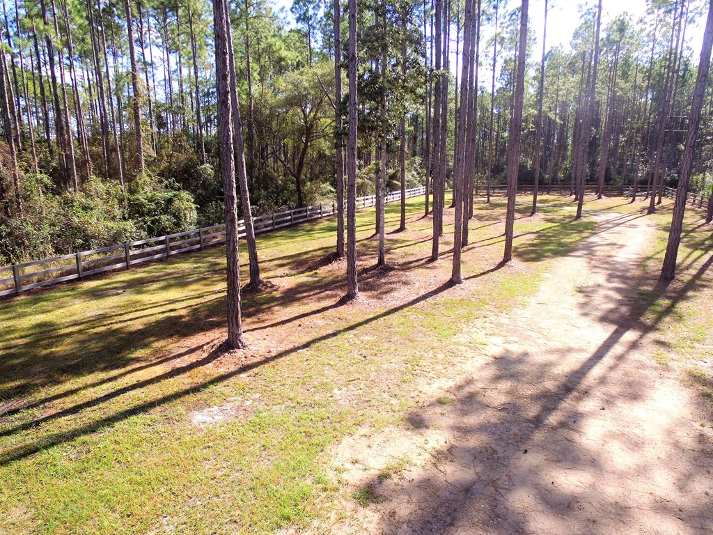 959 New River Harbor Road Carrabelle, FL 32322 - Photo 12 of 21