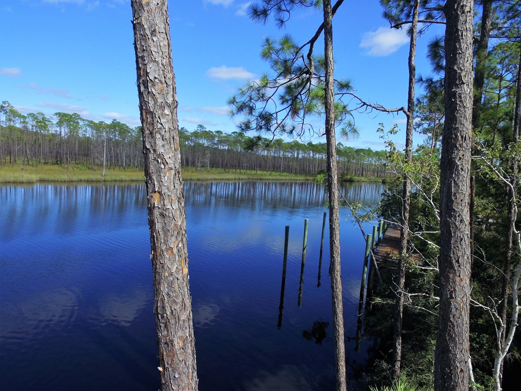 959 New River Harbor Road Carrabelle, FL 32322 - Photo 13 of 21