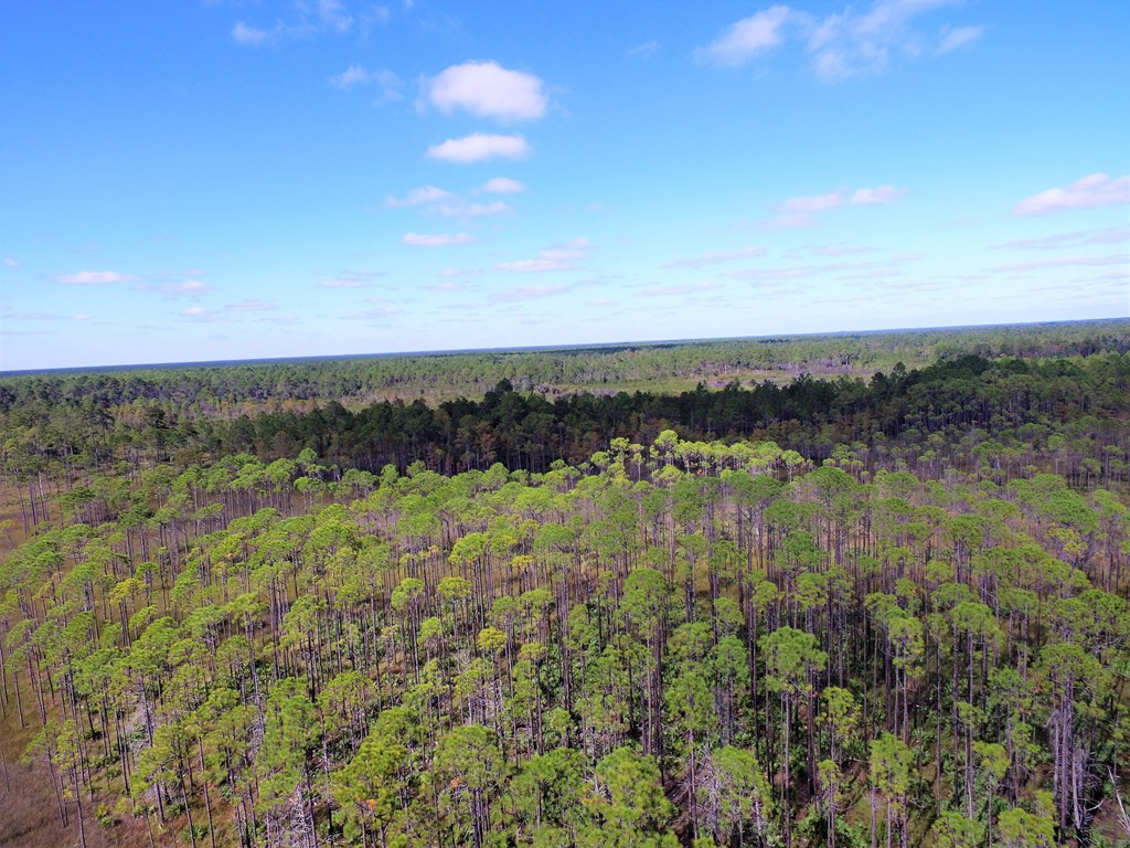 959 New River Harbor Road Carrabelle, FL 32322 - Photo 16 of 21