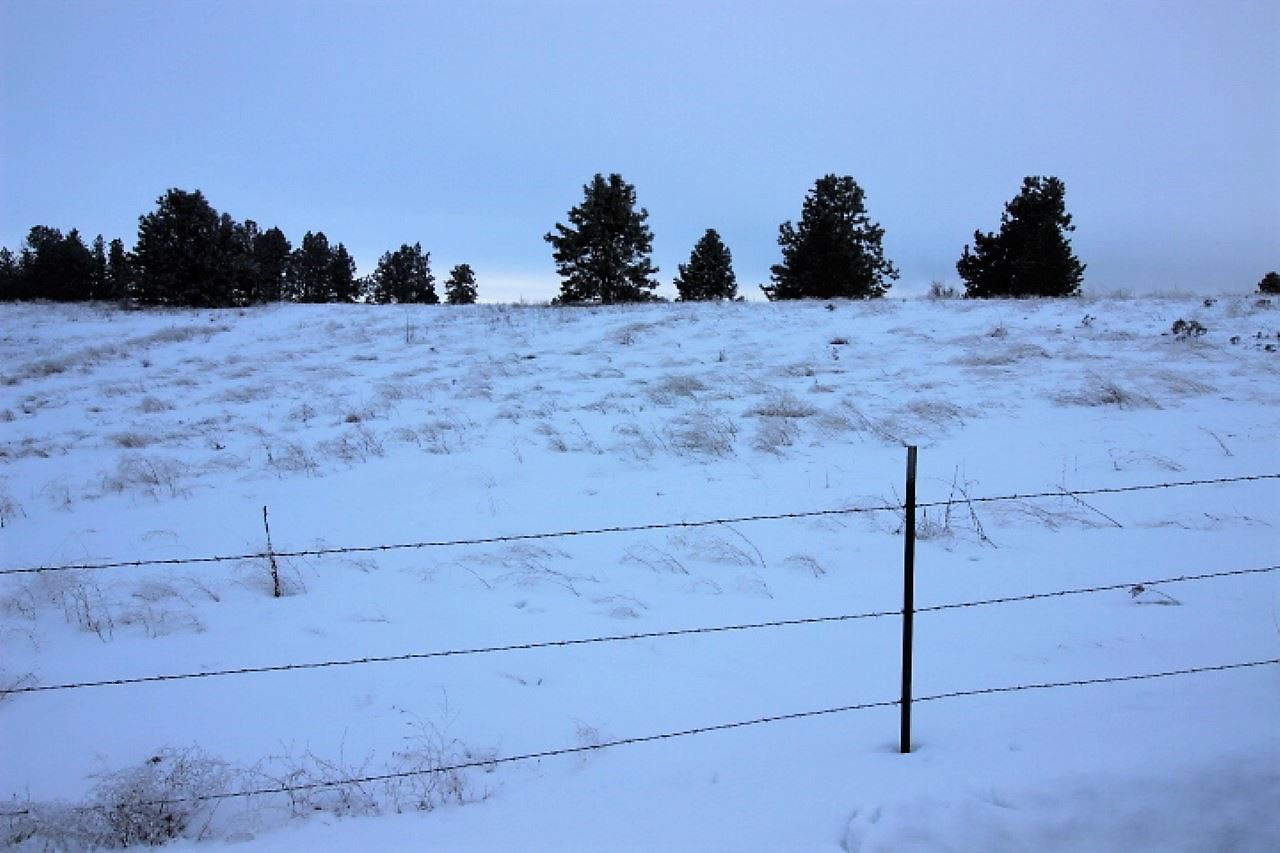 12012 West Orchard Heights Road Cheney, WA 99004 - Photo 3 of 5