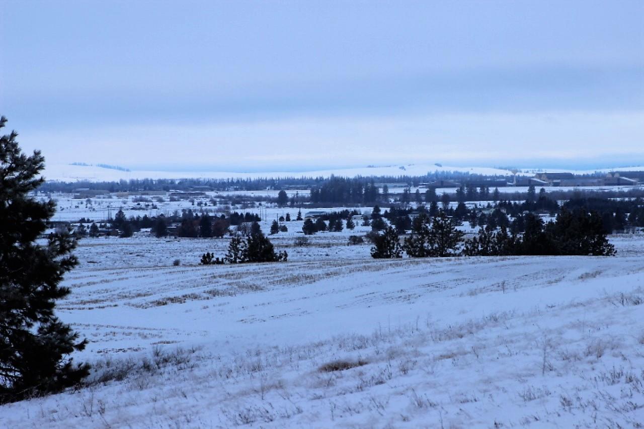 12012 West Orchard Heights Road Cheney, WA 99004 - Photo 4 of 5