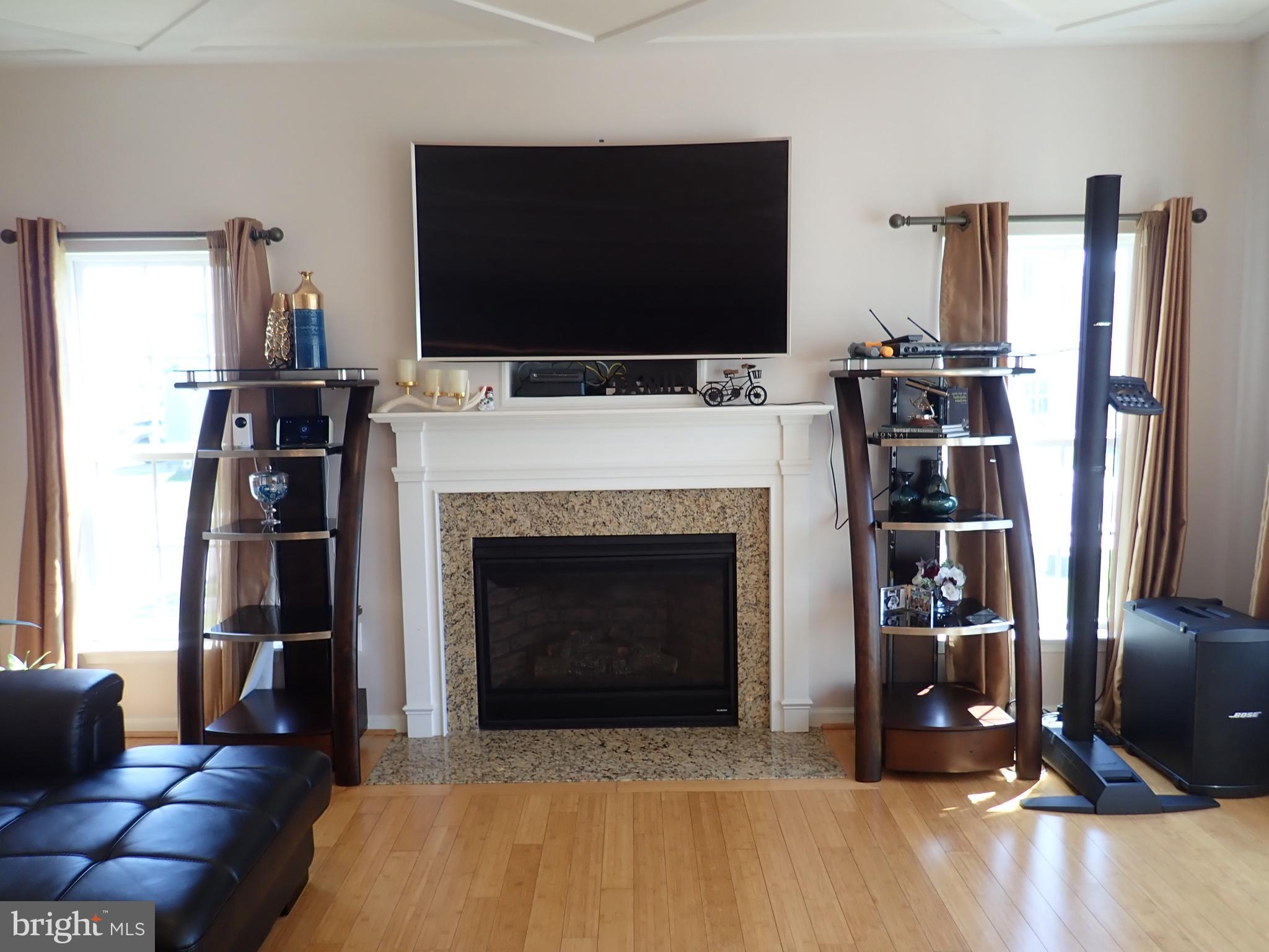 516 Claiborne Road North East, MD 21901 - Photo 23 of 81 Propane Fireplace