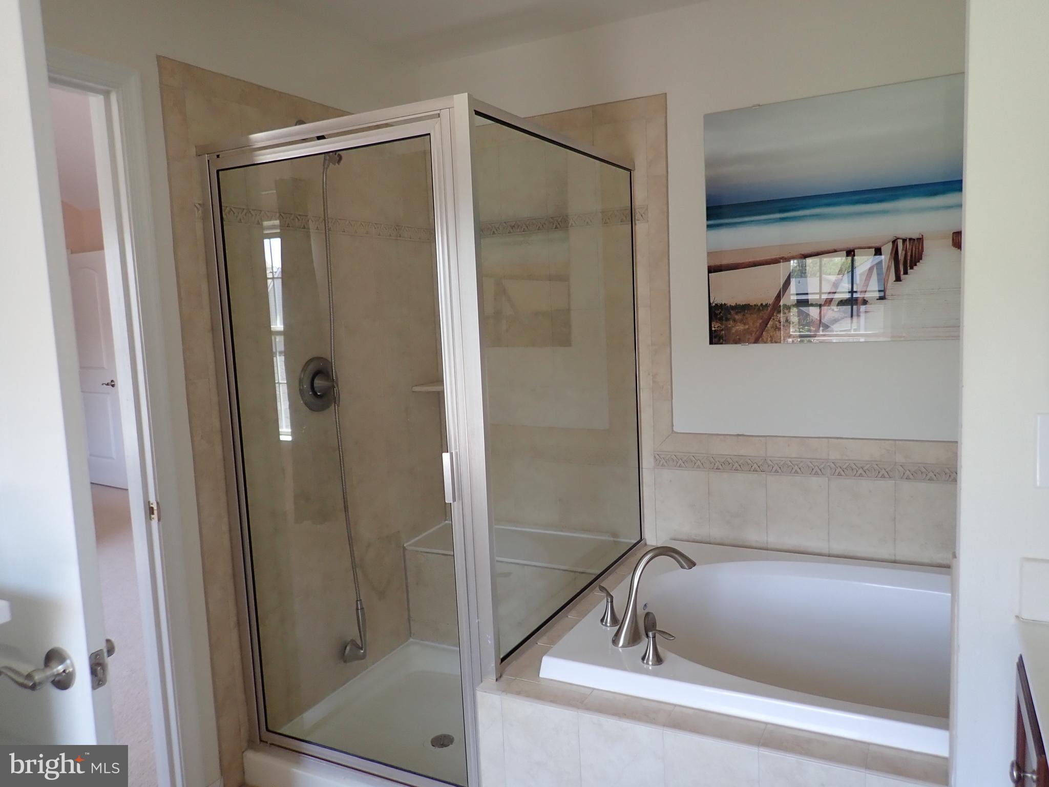 516 Claiborne Road North East, MD 21901 - Photo 40 of 81 Master Bath Shower/ Tub