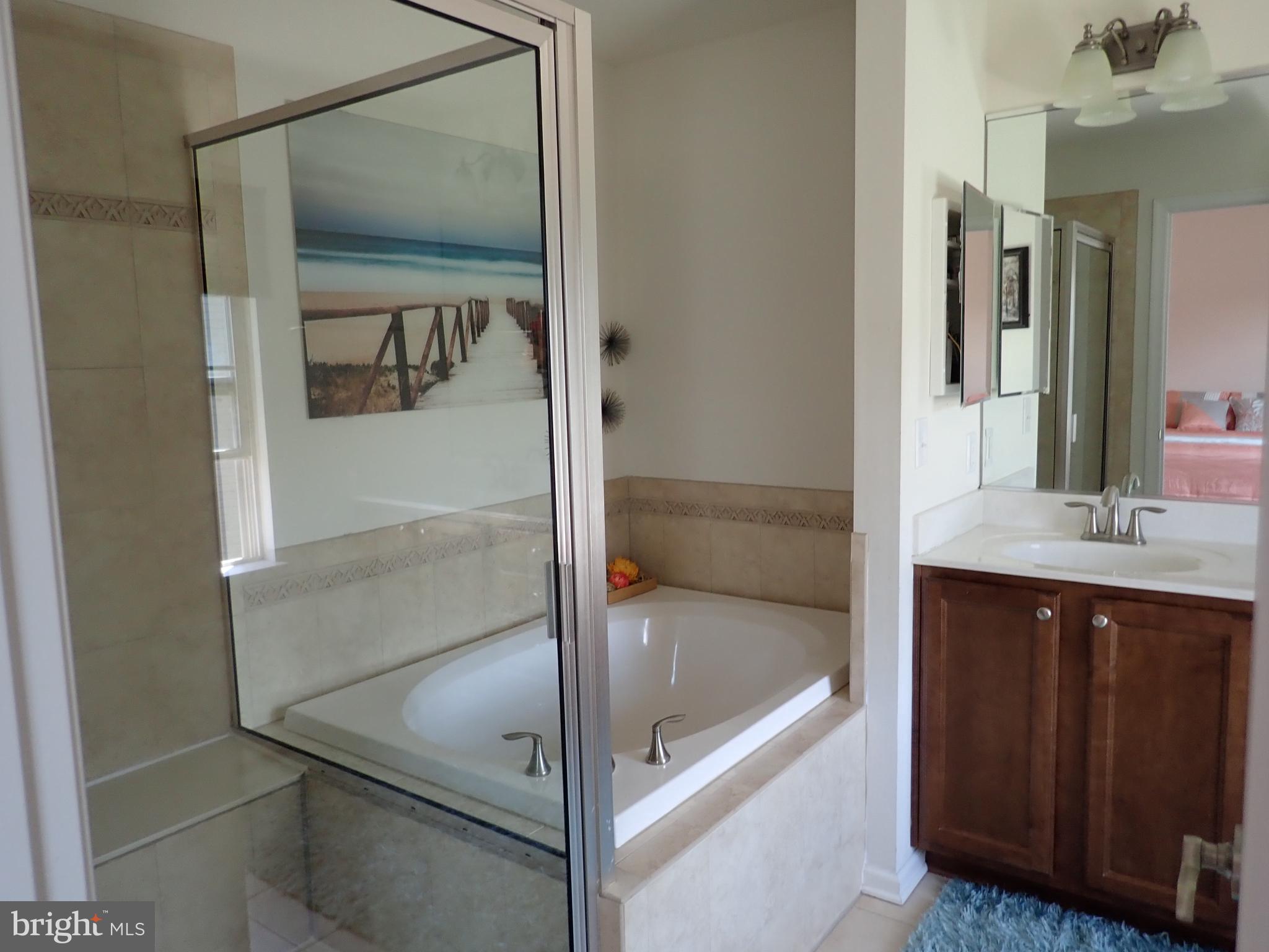 516 Claiborne Road North East, MD 21901 - Photo 41 of 81 Master Bathroom