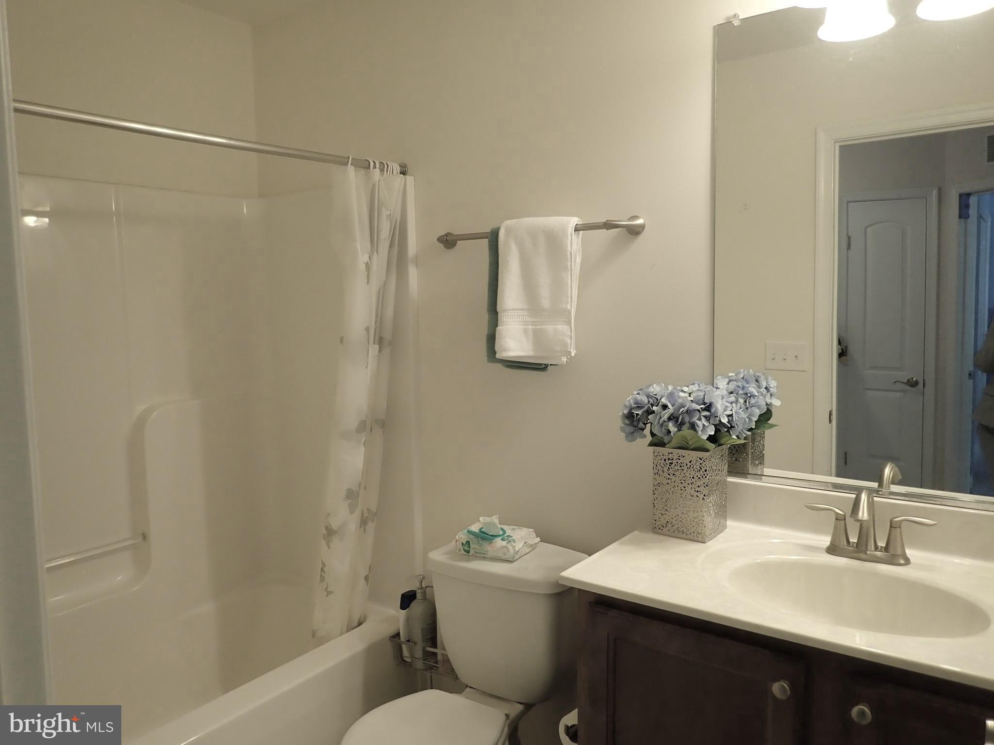 516 Claiborne Road North East, MD 21901 - Photo 55 of 81 Full Hall Bath