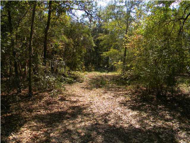 3899 Stewart Lake Road Chipley, FL 32428 - Photo 4 of 11 Gallery Image 4