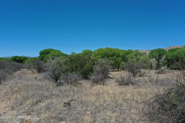 a view of a dry yard