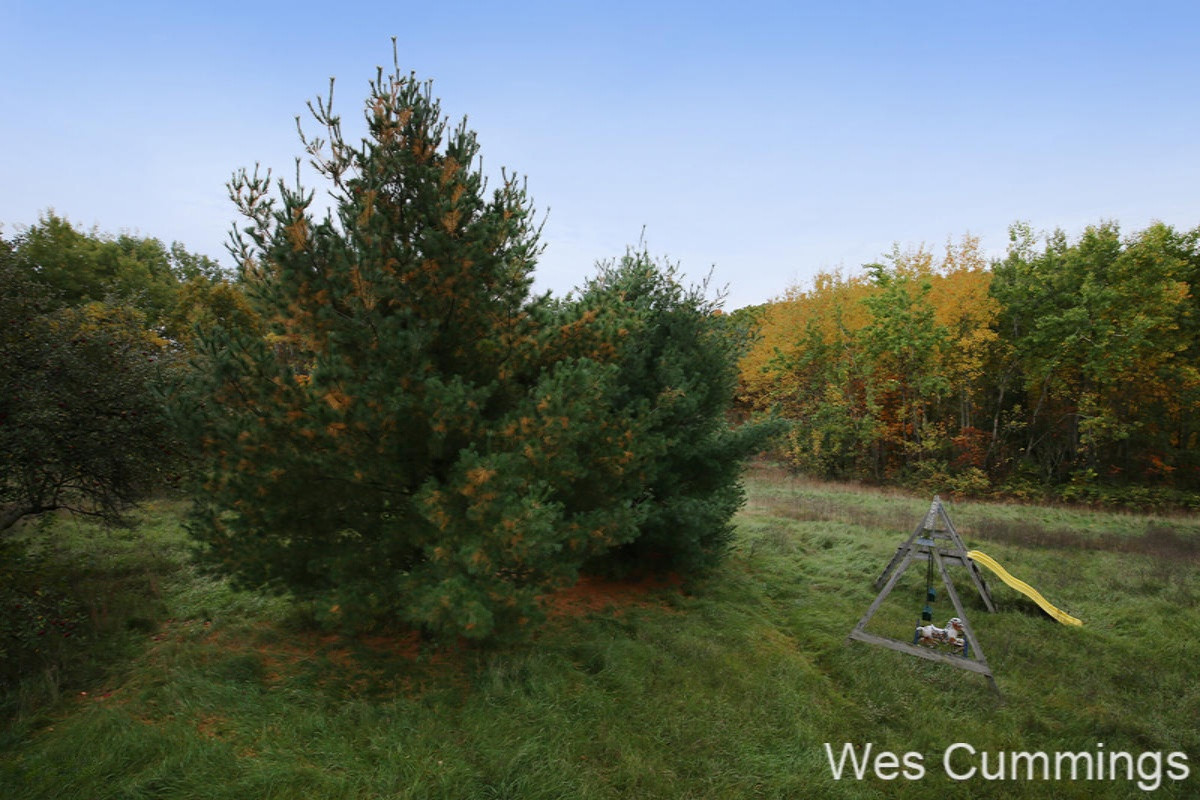 14300 Heffron Road Northeast Belding, MI 48809 - Photo 32 of 37 31