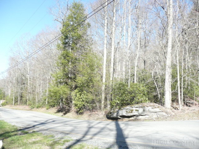 Evergreen, Unit SECTION 20 Boone, NC 28607 - Photo 1 of 4 Gallery Image 1