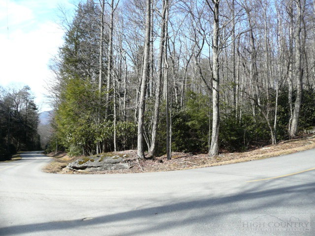Evergreen, Unit SECTION 20 Boone, NC 28607 - Photo 2 of 4 Gallery Image 2