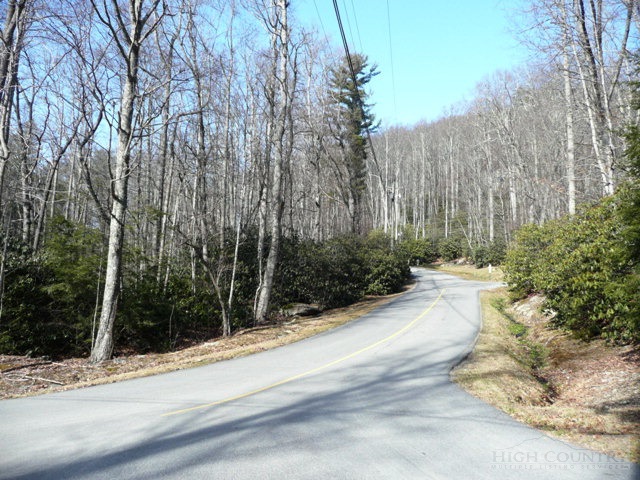 Evergreen, Unit SECTION 20 Boone, NC 28607 - Photo 3 of 4 Gallery Image 3