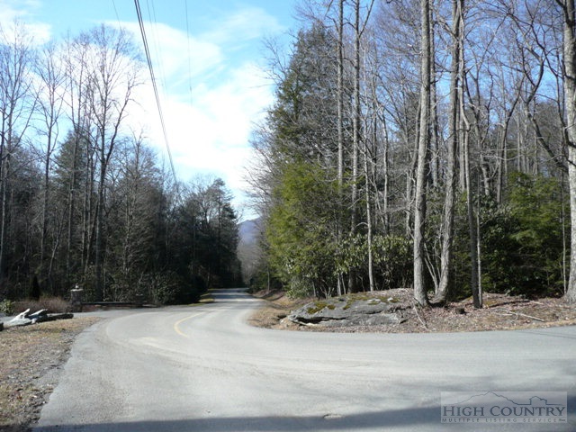 Evergreen, Unit SECTION 20 Boone, NC 28607 - Photo 4 of 4 Gallery Image 4