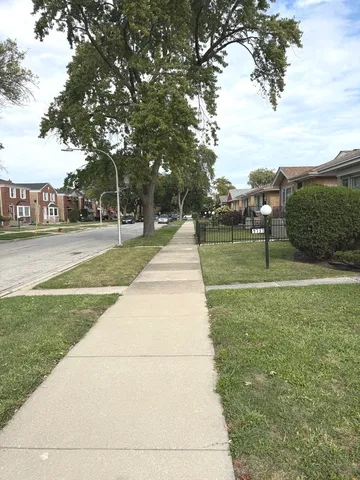 a park with large trees