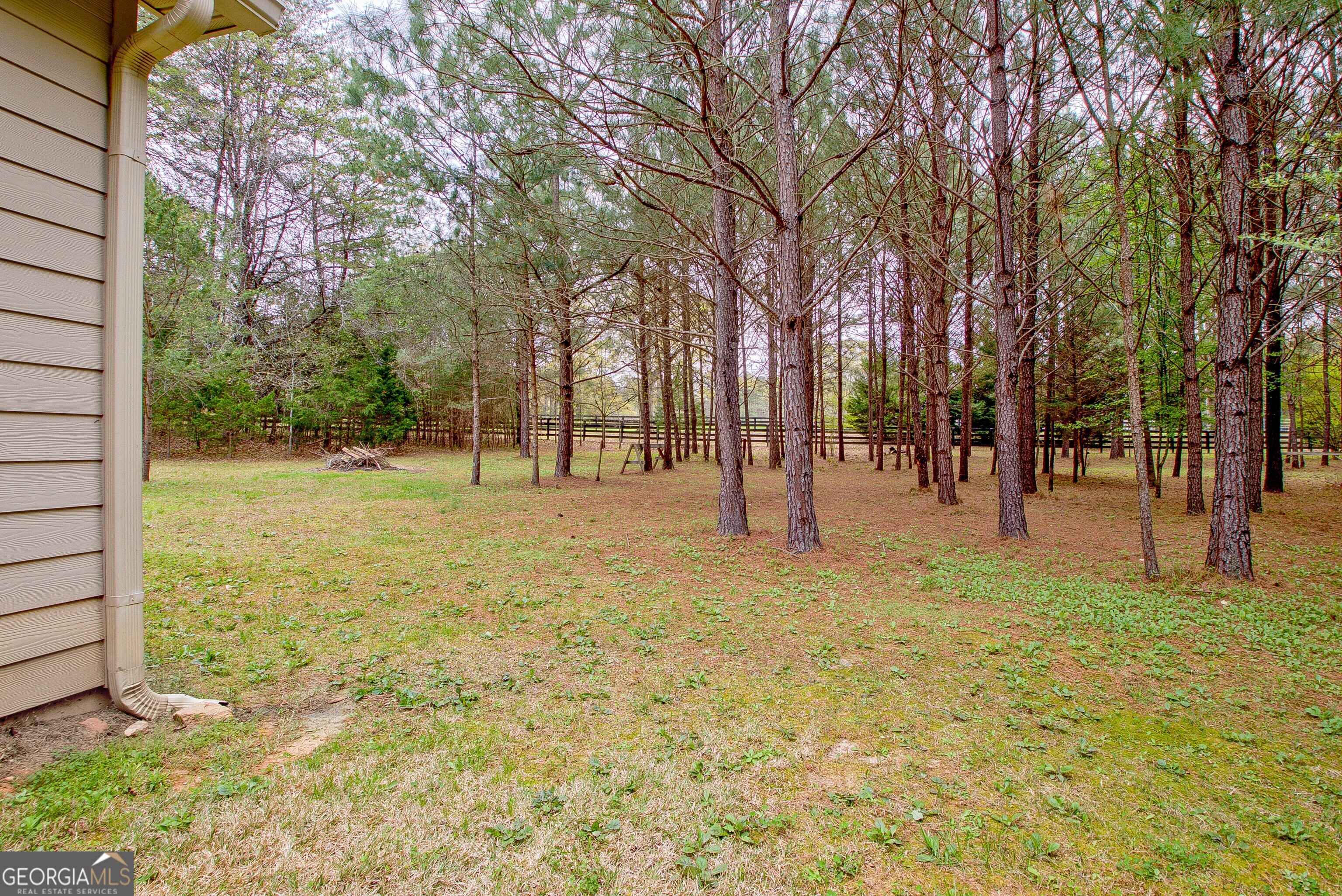 32 Austin Storey Circle Newnan, GA 30263 - Photo 68 of 84 a view of yard with trees