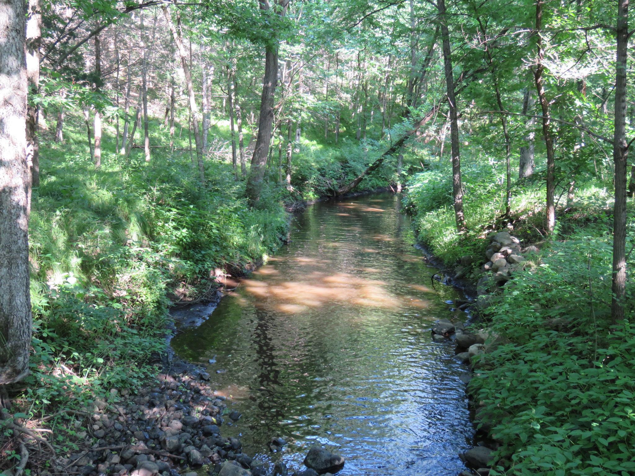 7738 County Road 17 Rice, MN 56367 - Photo 14 of 57