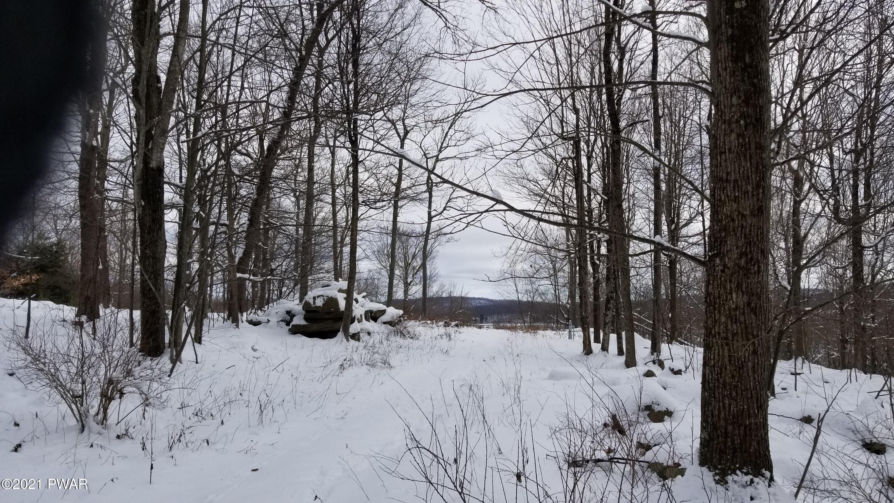 Lot 63 Old Woods Road Equinunk, PA 18417 - Photo 2 of 63