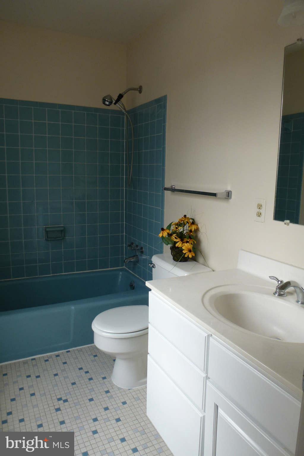 1742 Chain Bridge Road McLean, VA 22102 - Photo 12 of 17 Master Bath