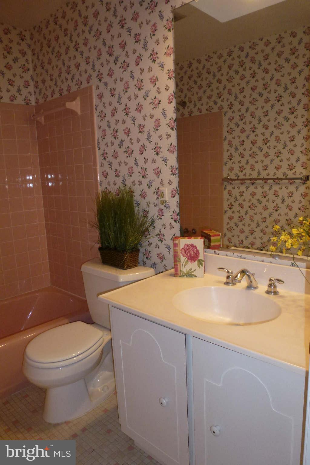 1742 Chain Bridge Road McLean, VA 22102 - Photo 13 of 17 Hall bath