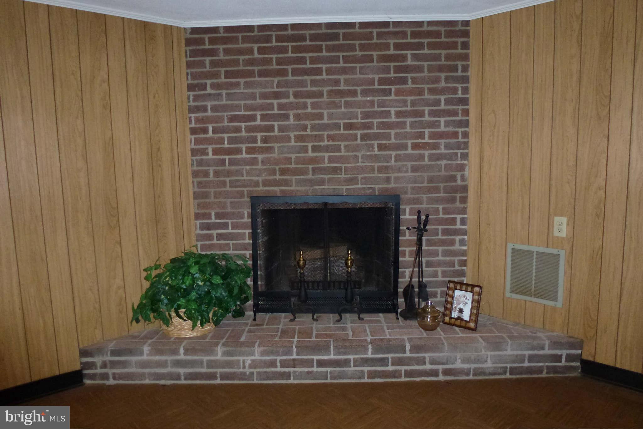 1742 Chain Bridge Road McLean, VA 22102 - Photo 16 of 17 Fireplace in Rec Room