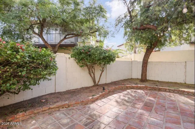 a view of a yard with plants and trees