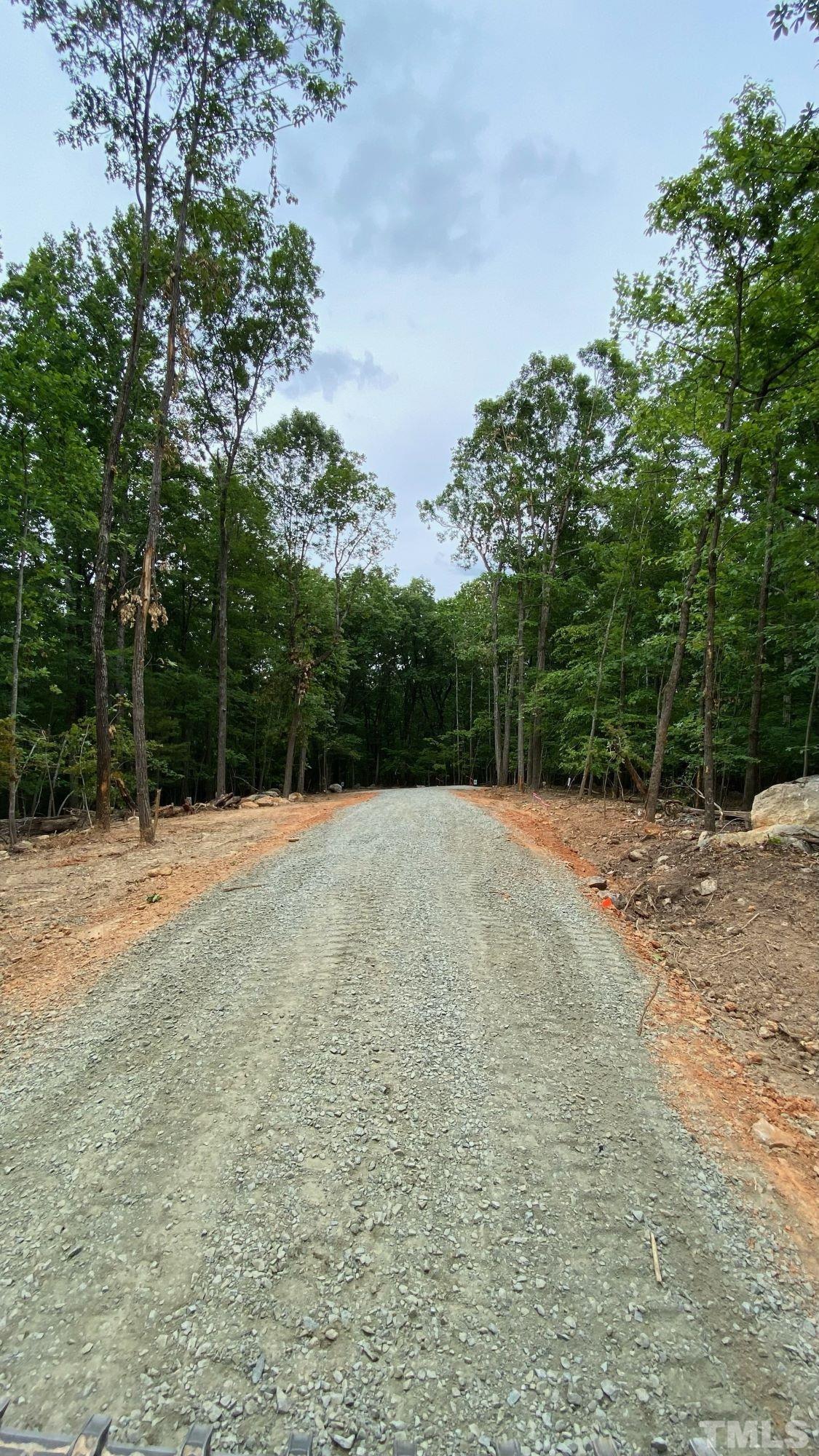 21 Fire Tower Drive Rougemont, NC 27572 - Photo 7 of 10 a view of backyard with green space