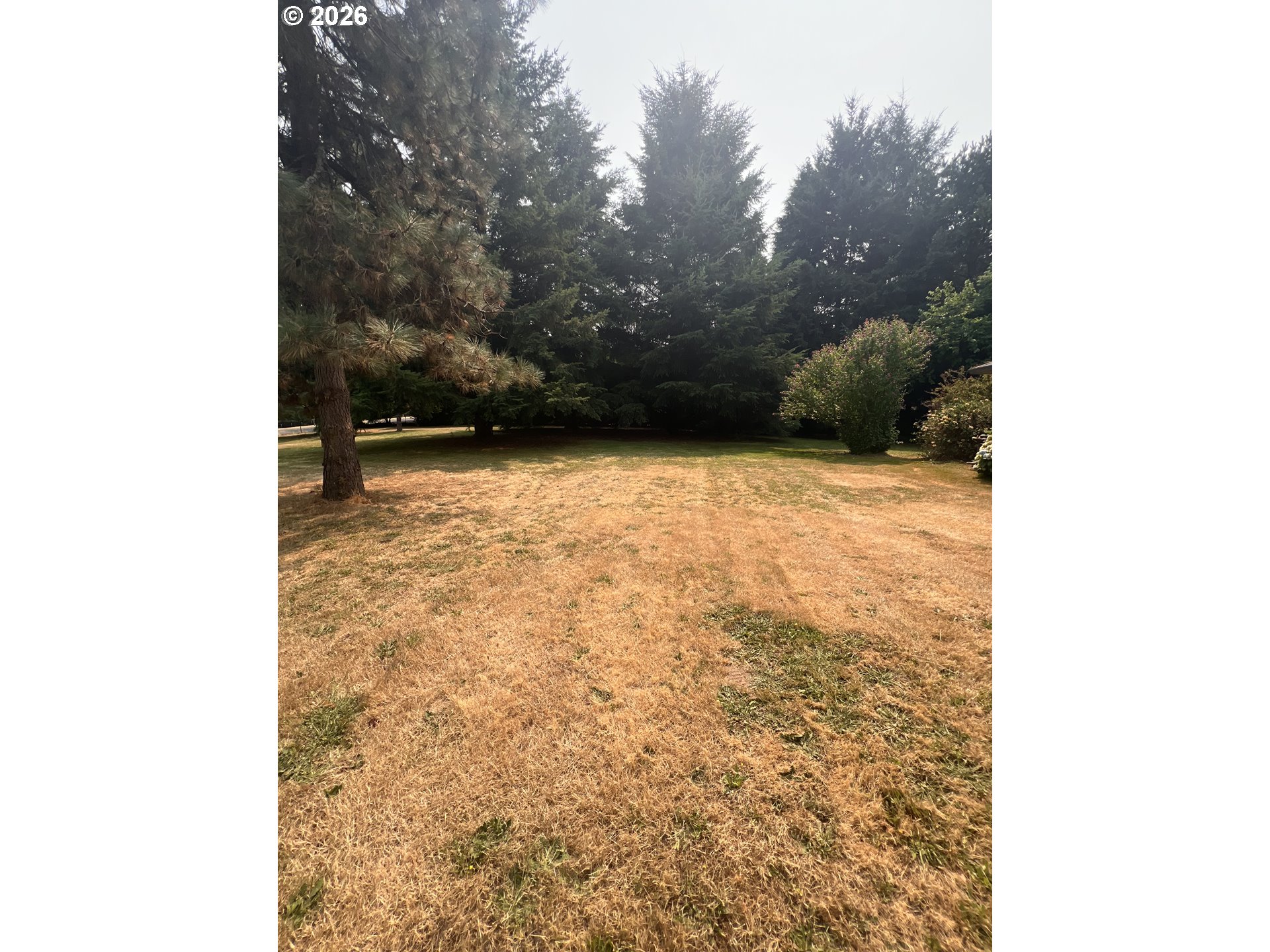 3021 Northwest 199th Street Ridgefield, WA 98642 - Photo 11 of 19 Gallery Image 11