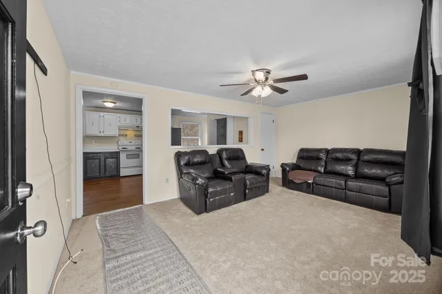 a living room with furniture ceiling fan and a rug