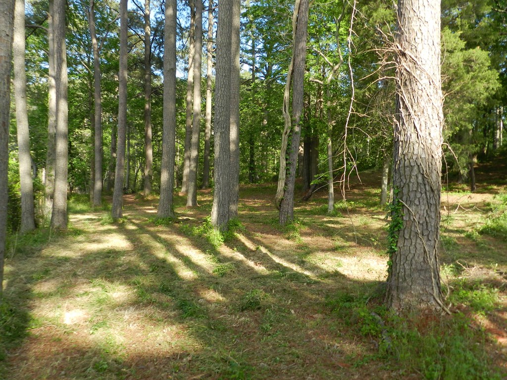Lot1 Miles Wharf Road, Unit 1 Exmore, VA 23350 - Photo 27 of 33