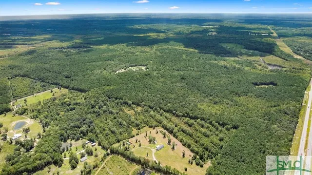 $1,300,000 | 262.44-ac Leroy Coffer Highway, Fleming, GA 31309