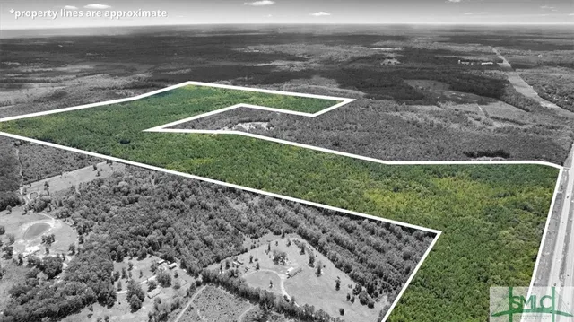 $1,300,000 | 262.44-ac Leroy Coffer Highway, Fleming, GA 31309