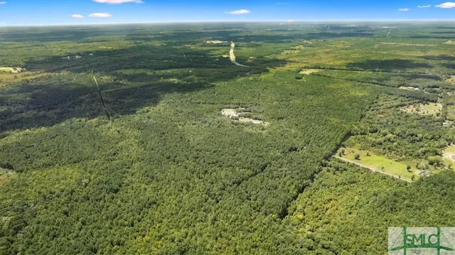 $1,300,000 | 262.44-ac Leroy Coffer Highway, Fleming, GA 31309
