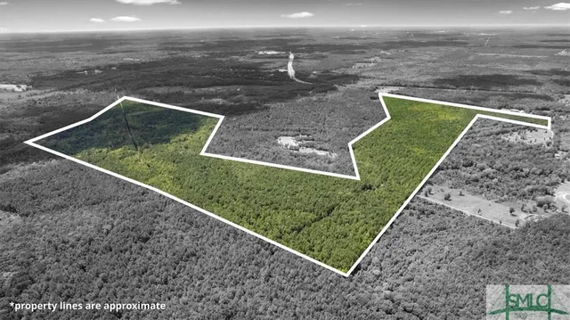 $1,300,000 | 262.44-ac Leroy Coffer Highway, Fleming, GA 31309