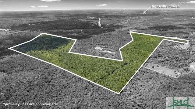 $1,300,000 | 262.44-ac Leroy Coffer Highway, Fleming, GA 31309