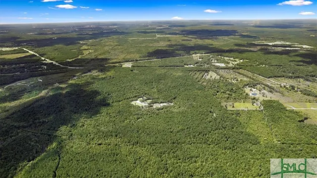 $1,300,000 | 262.44-ac Leroy Coffer Highway, Fleming, GA 31309