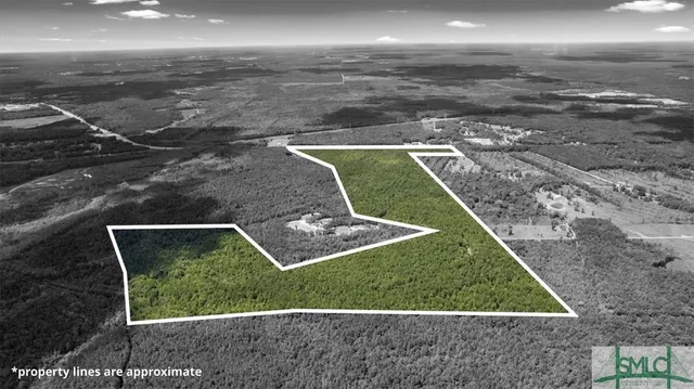 $1,300,000 | 262.44-ac Leroy Coffer Highway, Fleming, GA 31309