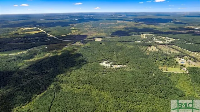 $1,300,000 | 262.44-ac Leroy Coffer Highway, Fleming, GA 31309