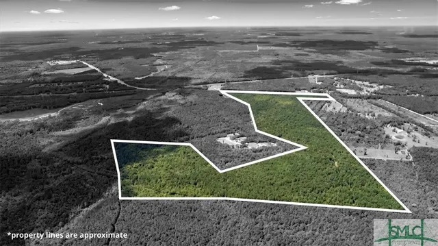 $1,300,000 | 262.44-ac Leroy Coffer Highway, Fleming, GA 31309