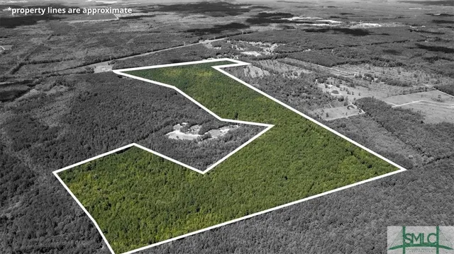 $1,300,000 | 262.44-ac Leroy Coffer Highway, Fleming, GA 31309